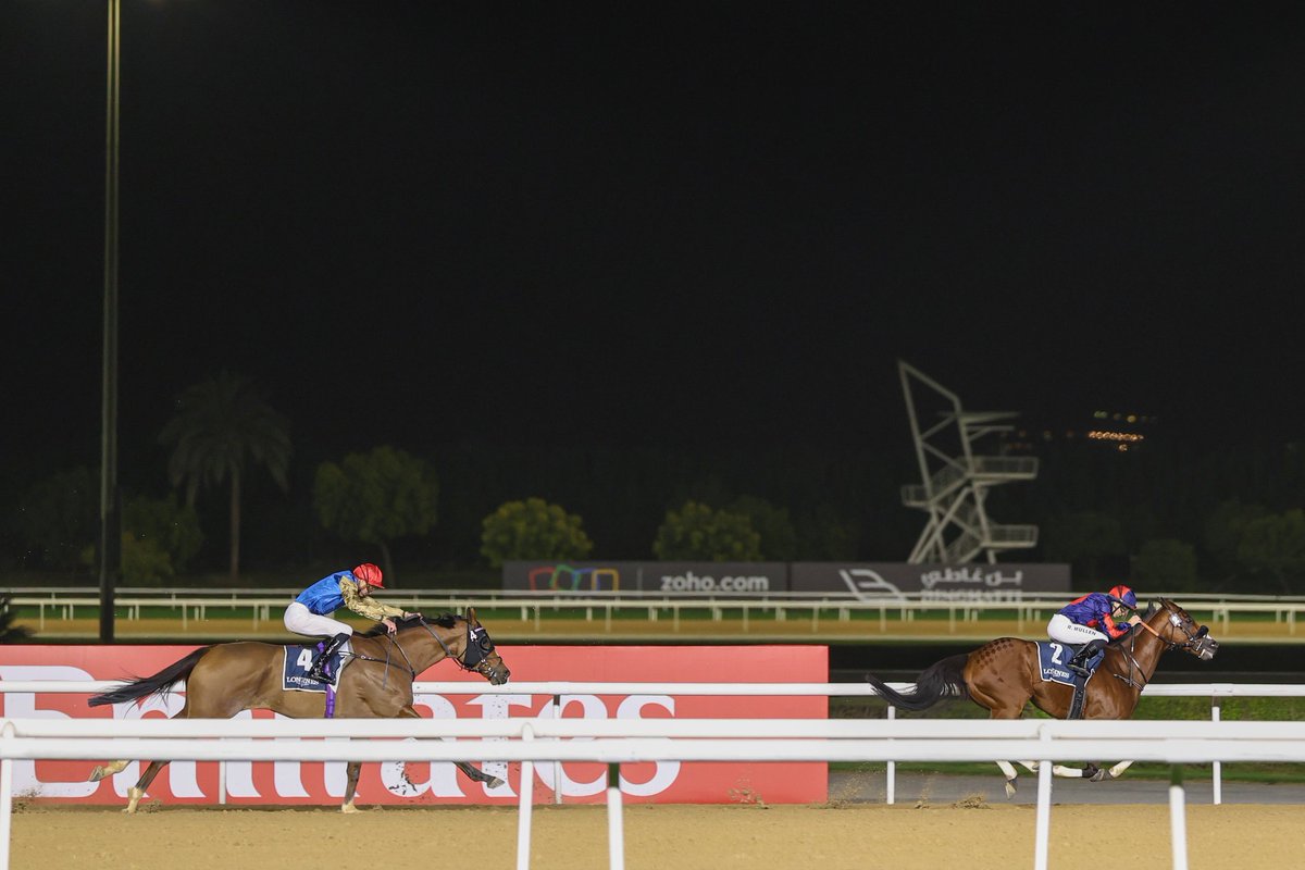 m.a.orfe2012.2013 tweet media