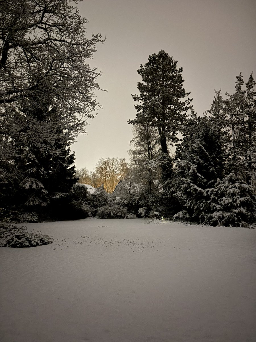 Lying 🇧🇪🇨🇱 tweet media