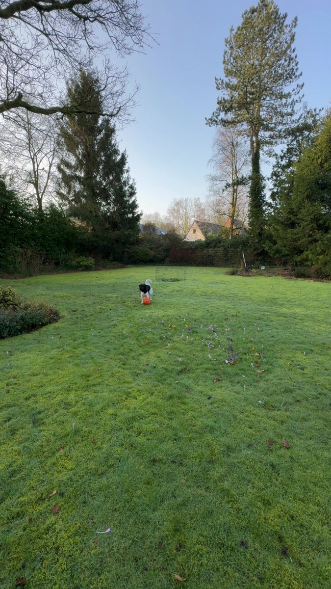 Lying 🇧🇪🇨🇱 tweet media