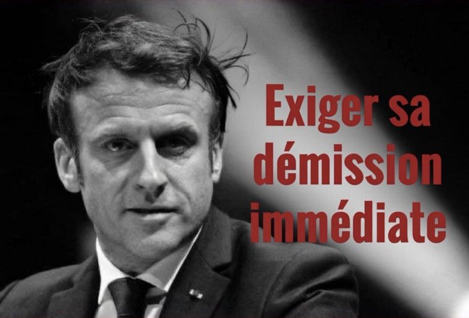 Rosetta Bouvier tweet media