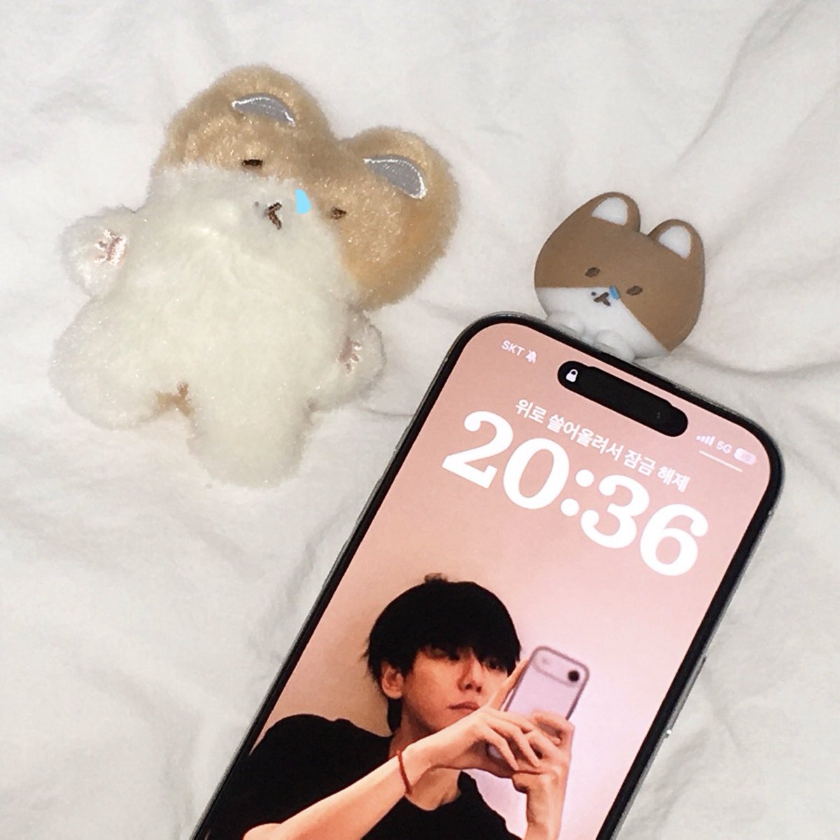수야˳˳ tweet media
