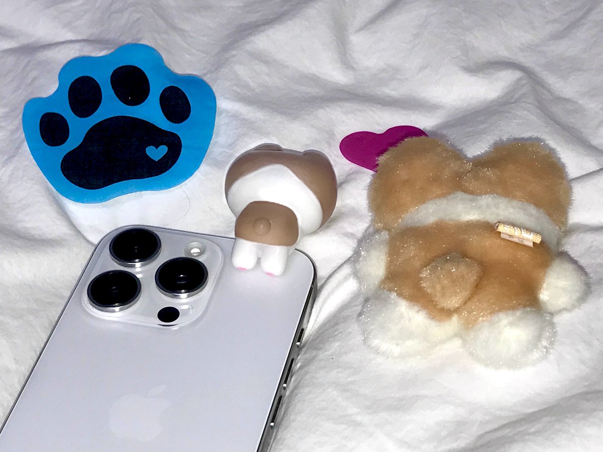 #RT 터래기 한 마리 핸드폰에 몰고가실 분 ૮₍ ´ ꒳ `₎ა

터래기 히퍼를 두 분께 드립니다𓂃 ࣪ ˖ 𖦹
근데 이제 약간 태닝 터래기인....