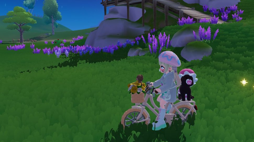 まってまってまってまって！ くろまめ散歩させようとしたら自転車乗っ