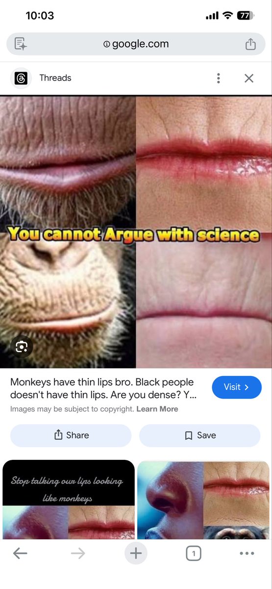 TaleelNumberone's tweet photo. @rishi841312 @AsianDawn4 Reward goes out to &amp; the real monkeys are u. White devils 😂research tells it all 😂 😂 😂 u fucking monkeys https://t.co/nXBbghPJtp