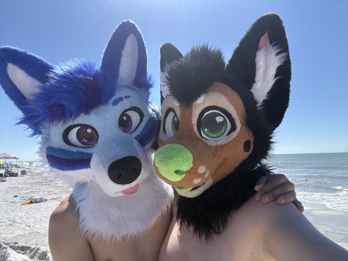 Chuckles Shep tweet media