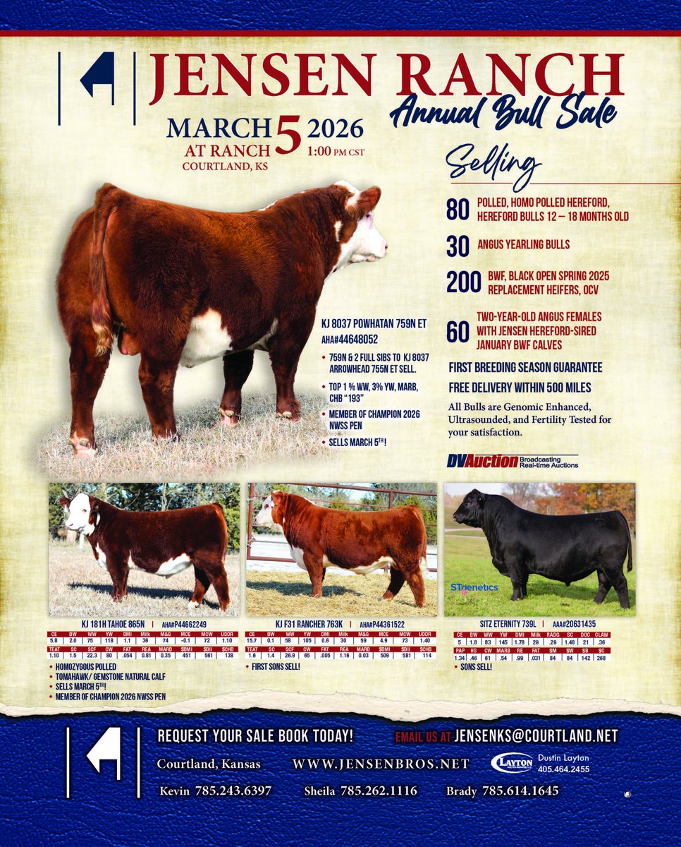 TheStockExchang's tweet photo. Bulls &amp; Commercial Females Sell https://t.co/IDXPpXpgRx https://t.co/jCqXtZqSgU
