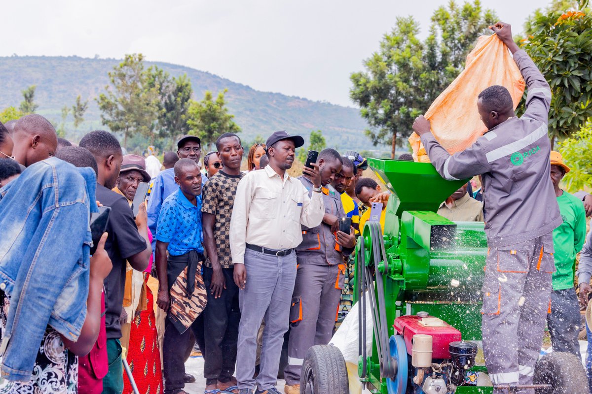 Rwanda Agriculture & Animal Resources Devpt Board tweet media