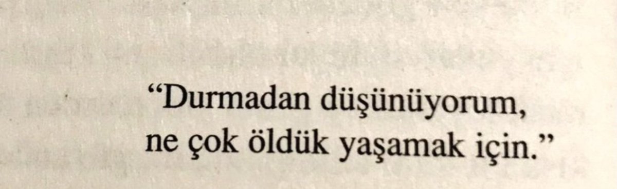 Sinem tweet media