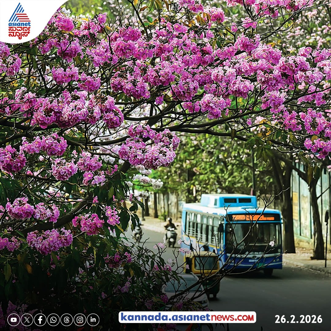 AsianetNewsSN's tweet image. ಉದ್ಯಾನನಗರಿ ಬೆಂಗಳೂರು ಈಗ ಫುಲ್ ಕಲರ್‌ಫುಲ್, ಪಿಂಕ್, ರೆಡ್, ಯಲ್ಲೋ ಹೂವಿನ ಮಕರಂದ

#bengaluru #cherryblossoms #colourful #nature #trees #city #kannadanews #asianetsuvarnanews