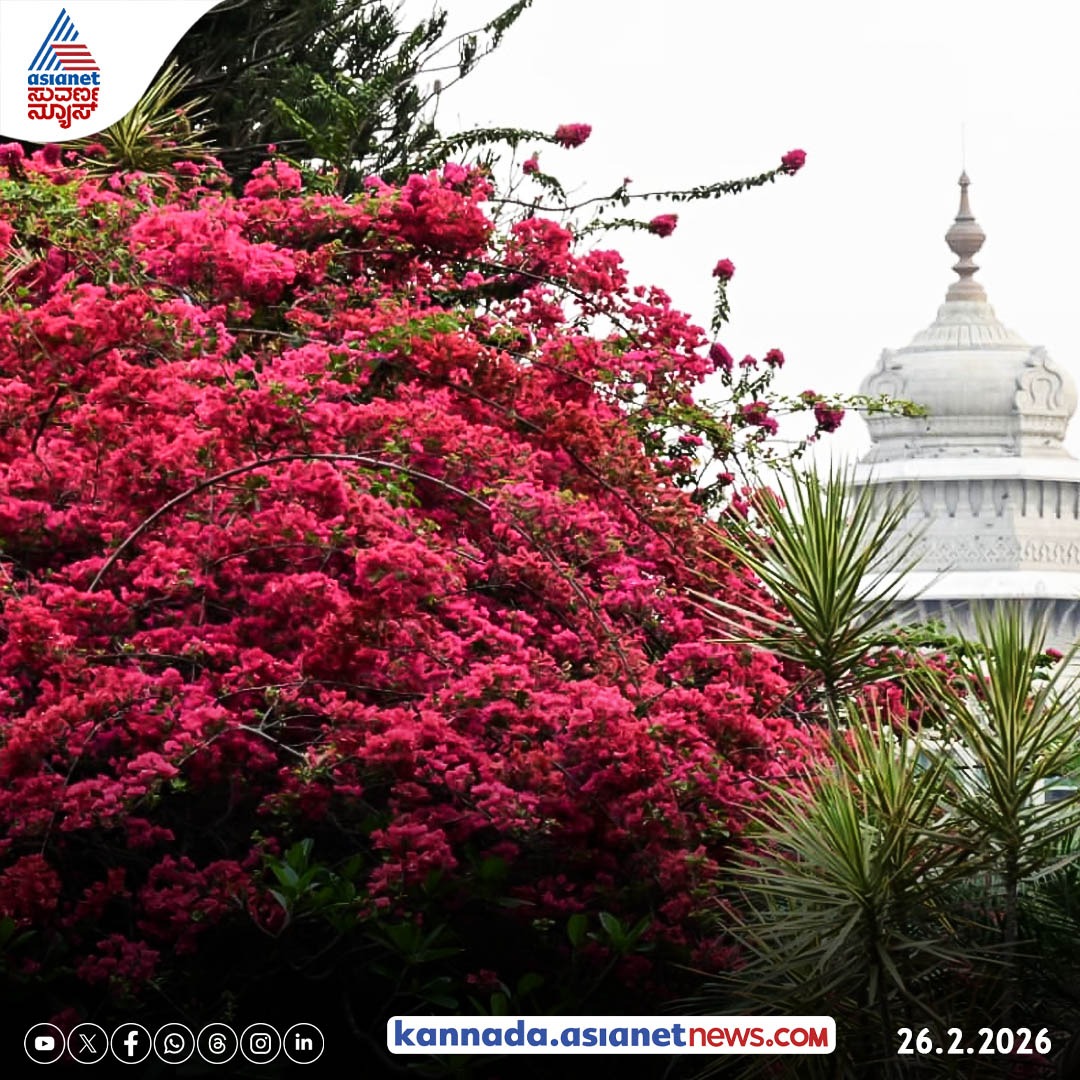 AsianetNewsSN's tweet image. ಉದ್ಯಾನನಗರಿ ಬೆಂಗಳೂರು ಈಗ ಫುಲ್ ಕಲರ್‌ಫುಲ್, ಪಿಂಕ್, ರೆಡ್, ಯಲ್ಲೋ ಹೂವಿನ ಮಕರಂದ

#bengaluru #cherryblossoms #colourful #nature #trees #city #kannadanews #asianetsuvarnanews