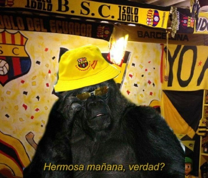 100 años de gloria y garra amarilla (@sanburrai) on Twitter photo 