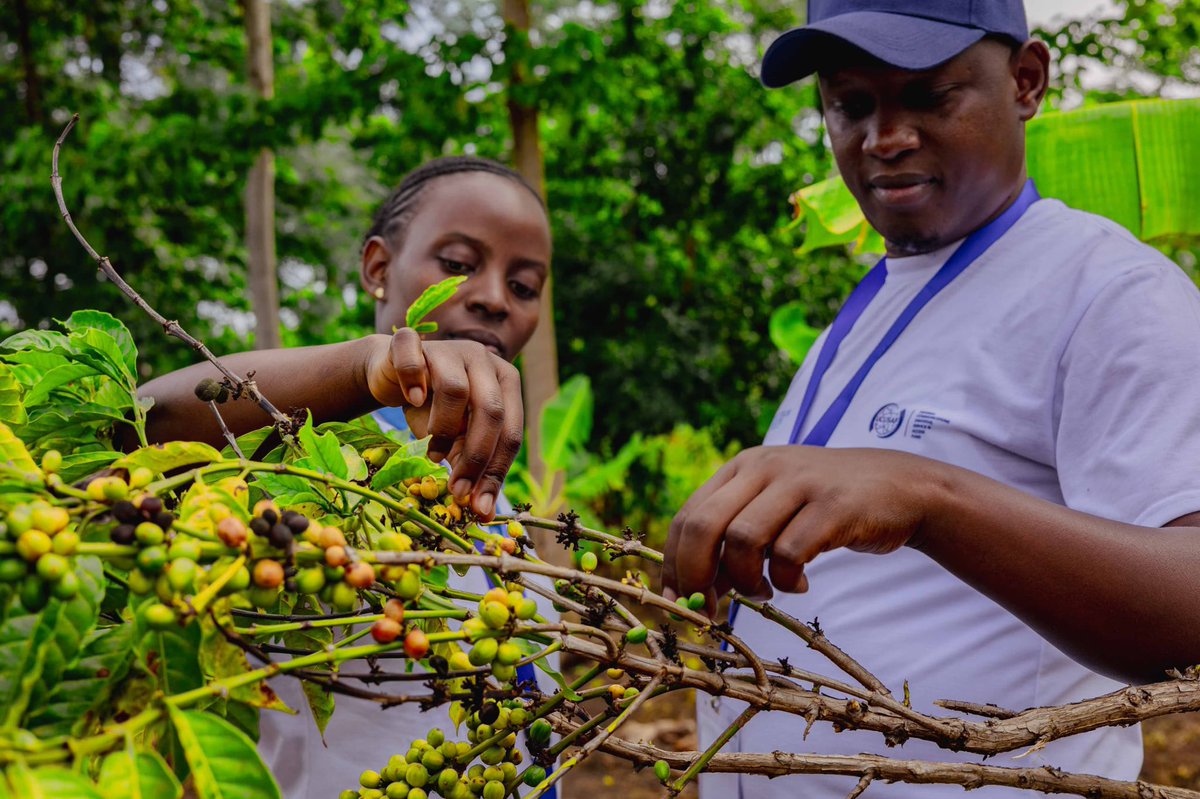 Carol Prim ❤️🤭 tweet media