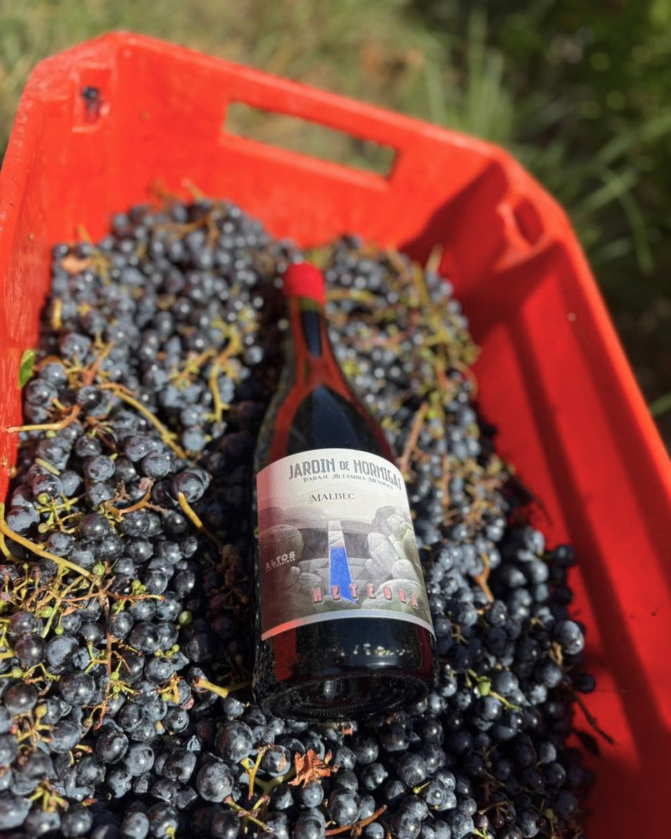 Altos Las Hormigas tweet media