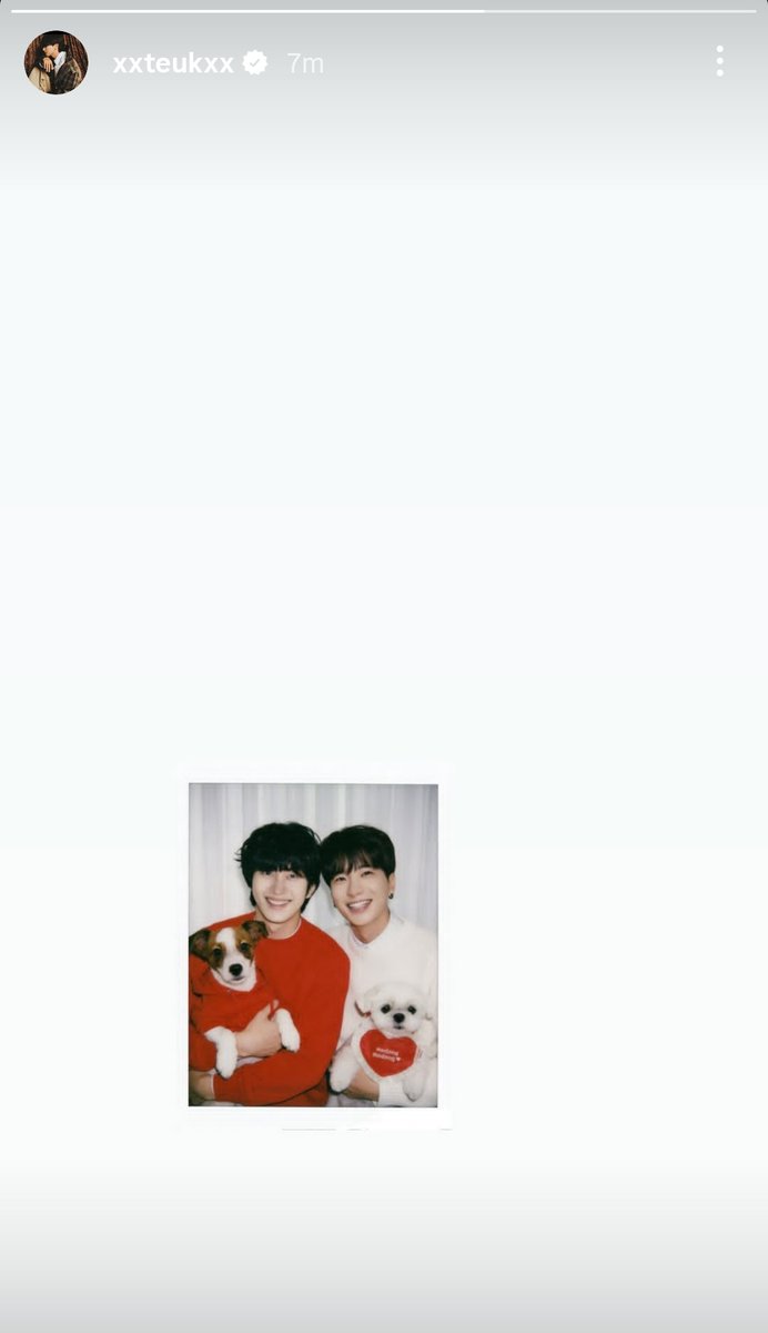 Teukchuldevil🐤🍒 | 83z - 온새미로 (ONSAEMIRO) ♡ tweet media