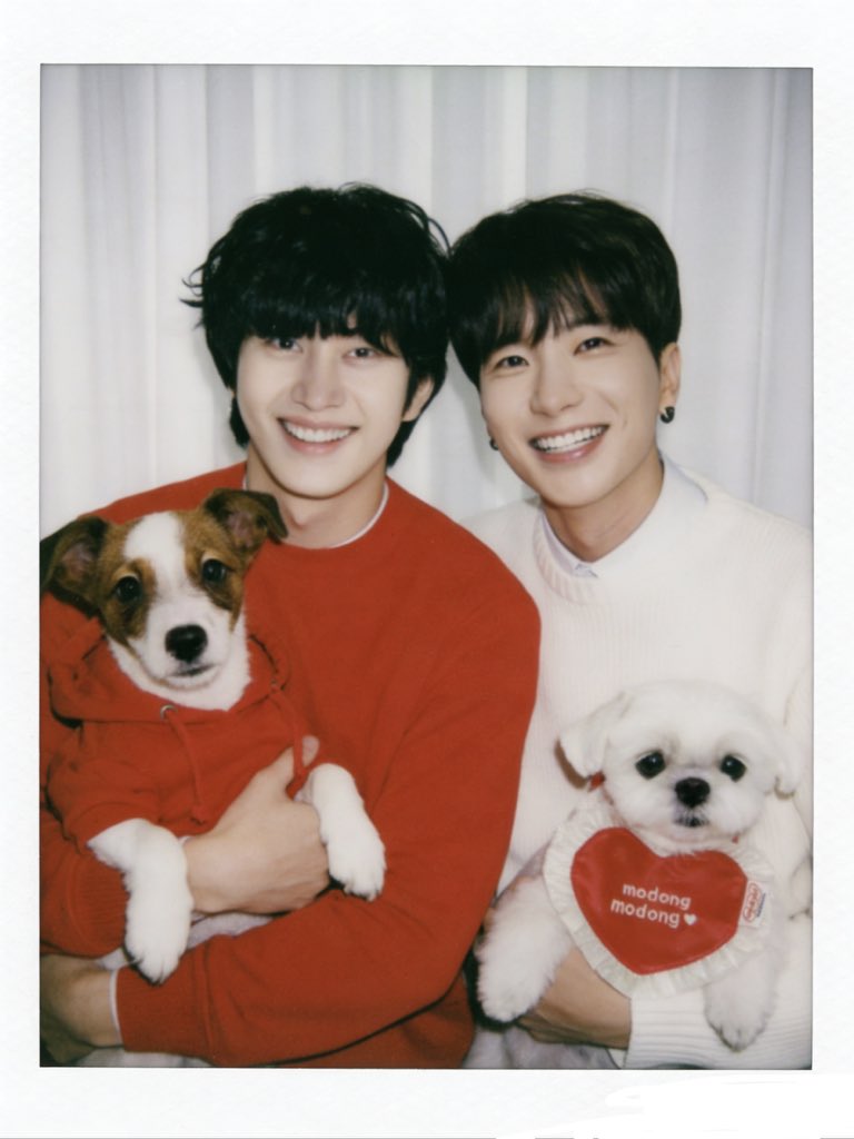 Teukchuldevil🐤🍒 | 83z - 온새미로 (ONSAEMIRO) ♡ tweet media