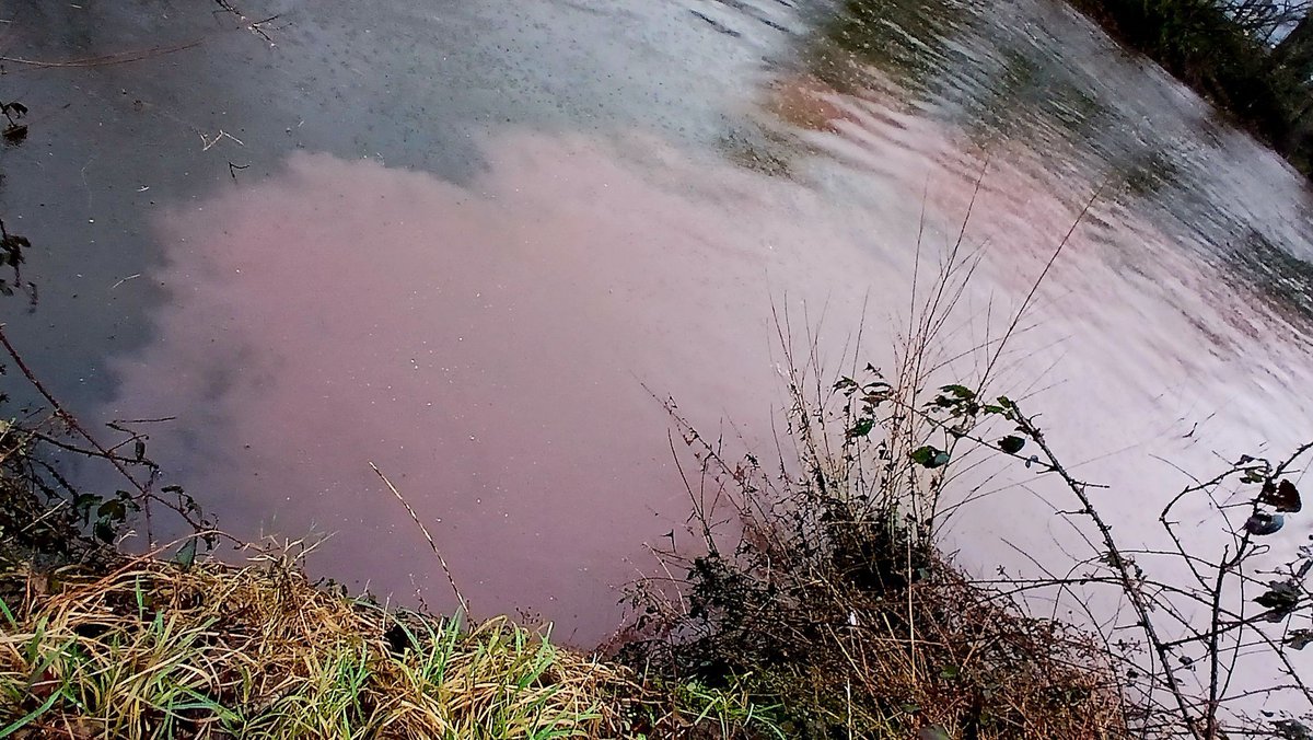 Jonny Gios tweet media