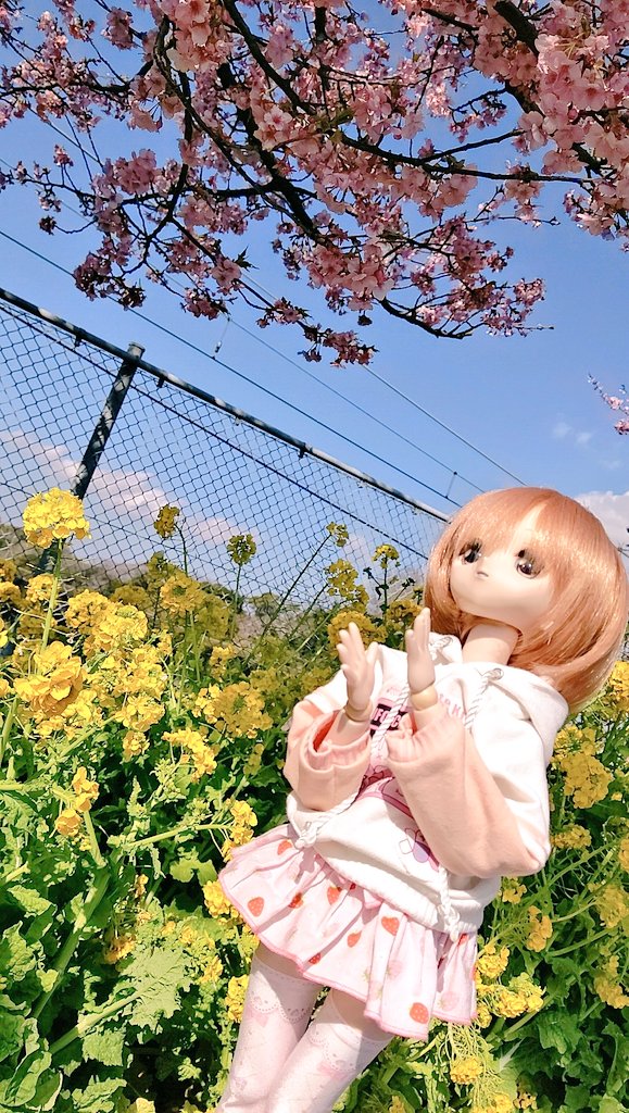 yusukepri6602's tweet image. #今夜のドール撮影120分一本勝負
【かたむける】
画角を傾けると、また違った味の写真になりますね📸😌
 #うちのこかわいい
 #MDDレナ