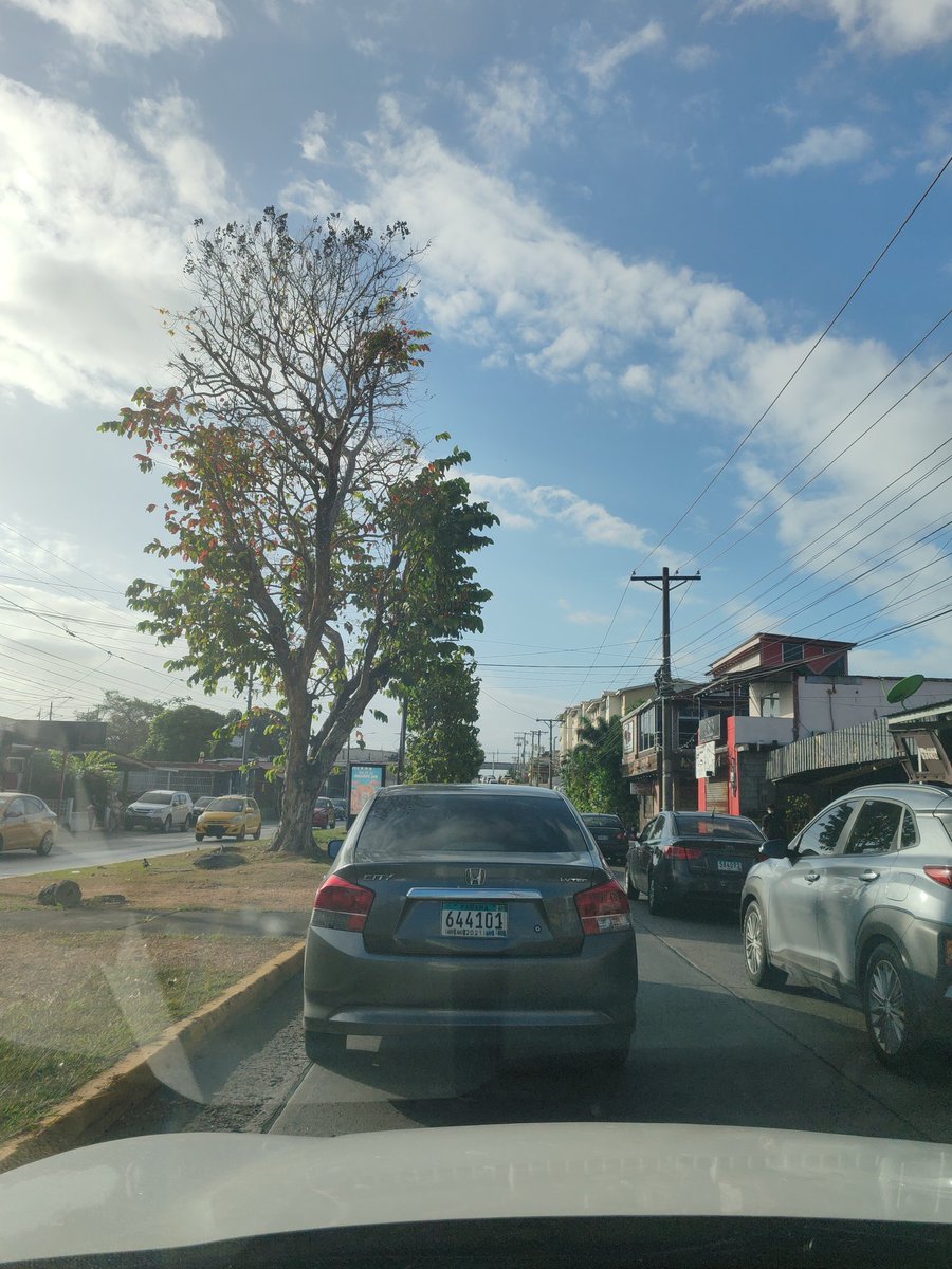 sheylasantosd's tweet photo. Todas las mañanas saliendo dw San Antonio gracias a la feria libre del @IMA_Pma... Basta!!! @tvnnoticias https://t.co/ederKjDcd1