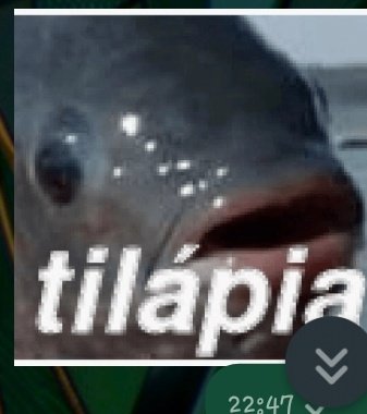 𝓛𝔂𝓼⚢ tweet media