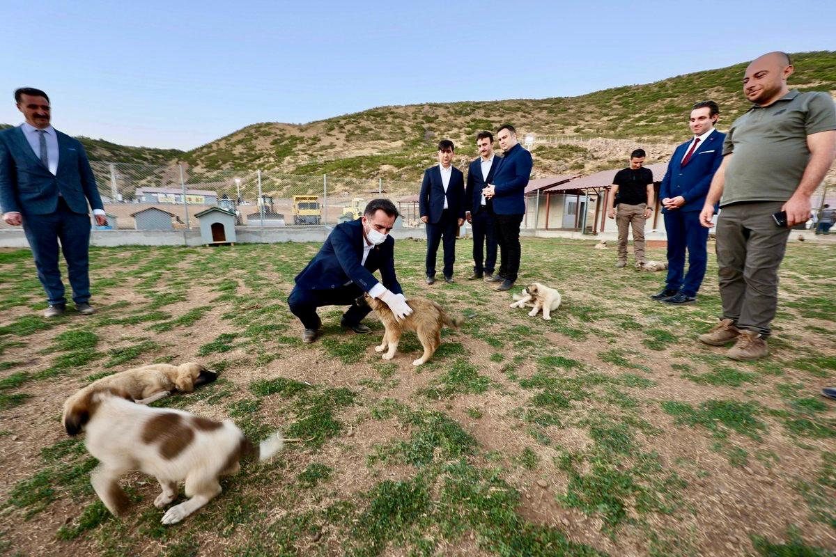 Bitlis Valiliği tweet media