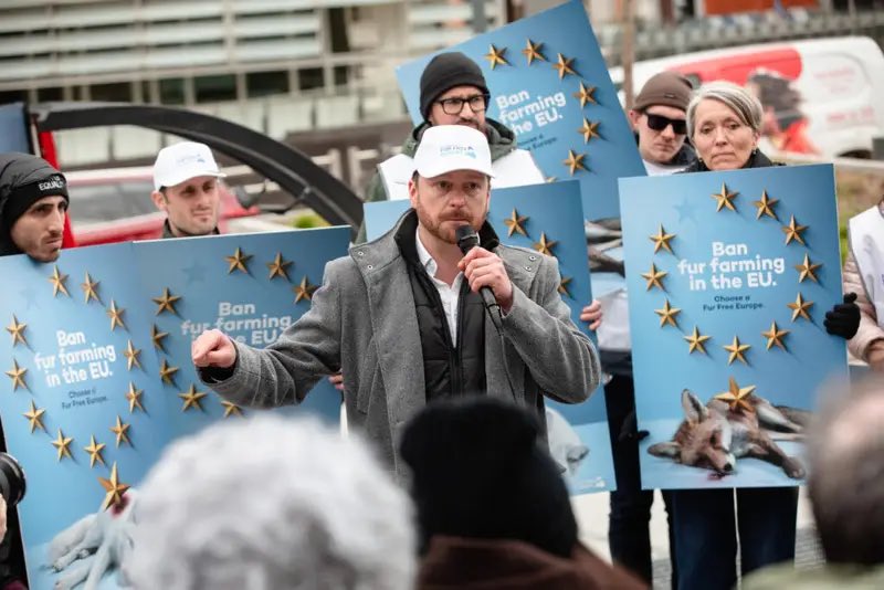 Respect for Animals tweet media