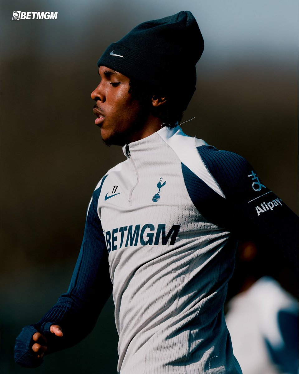 Tottenham Hotspur tweet media