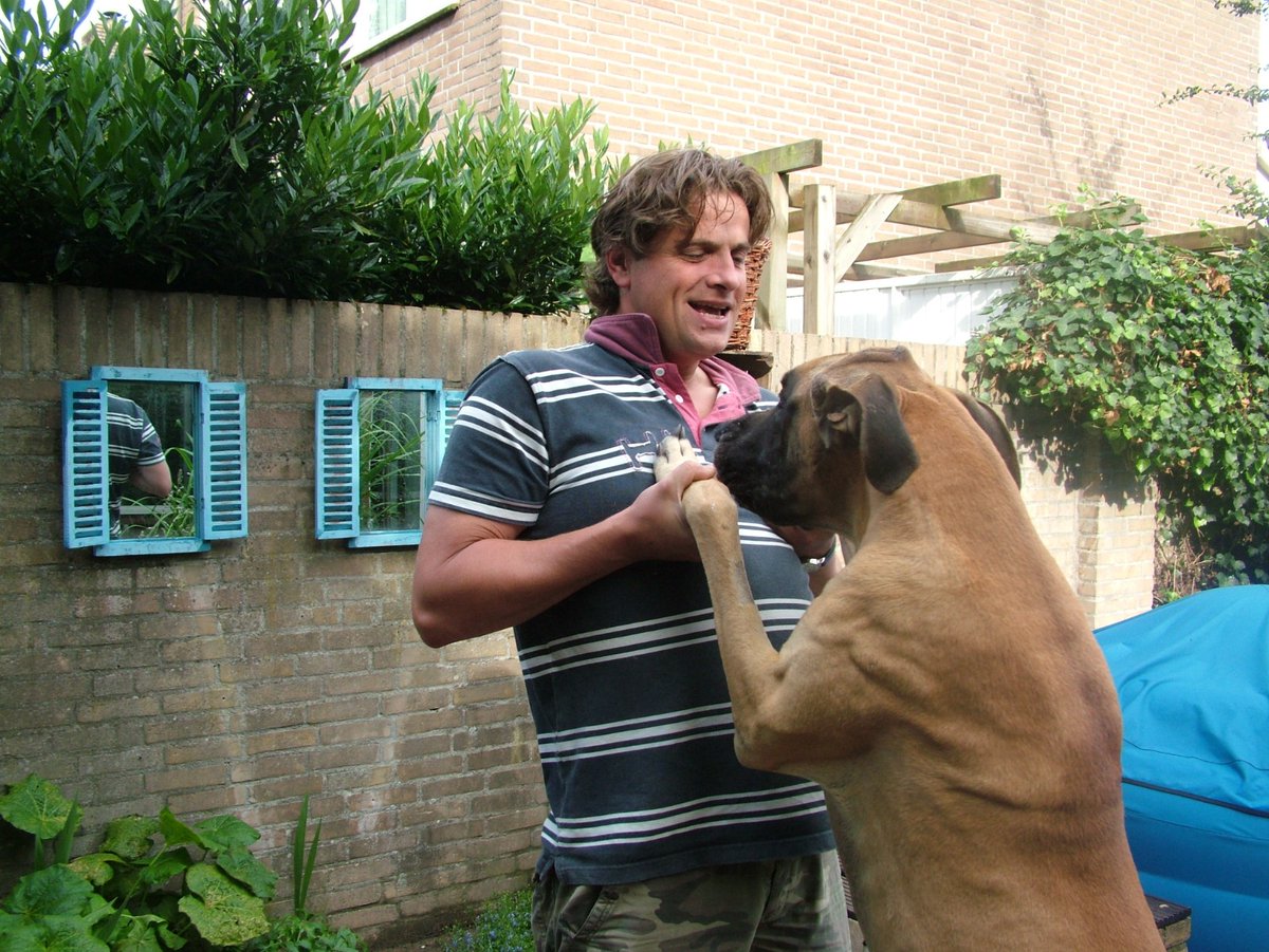 20 jaar geleden met Bono ❤️ 

#DuitseDog #GreatDane