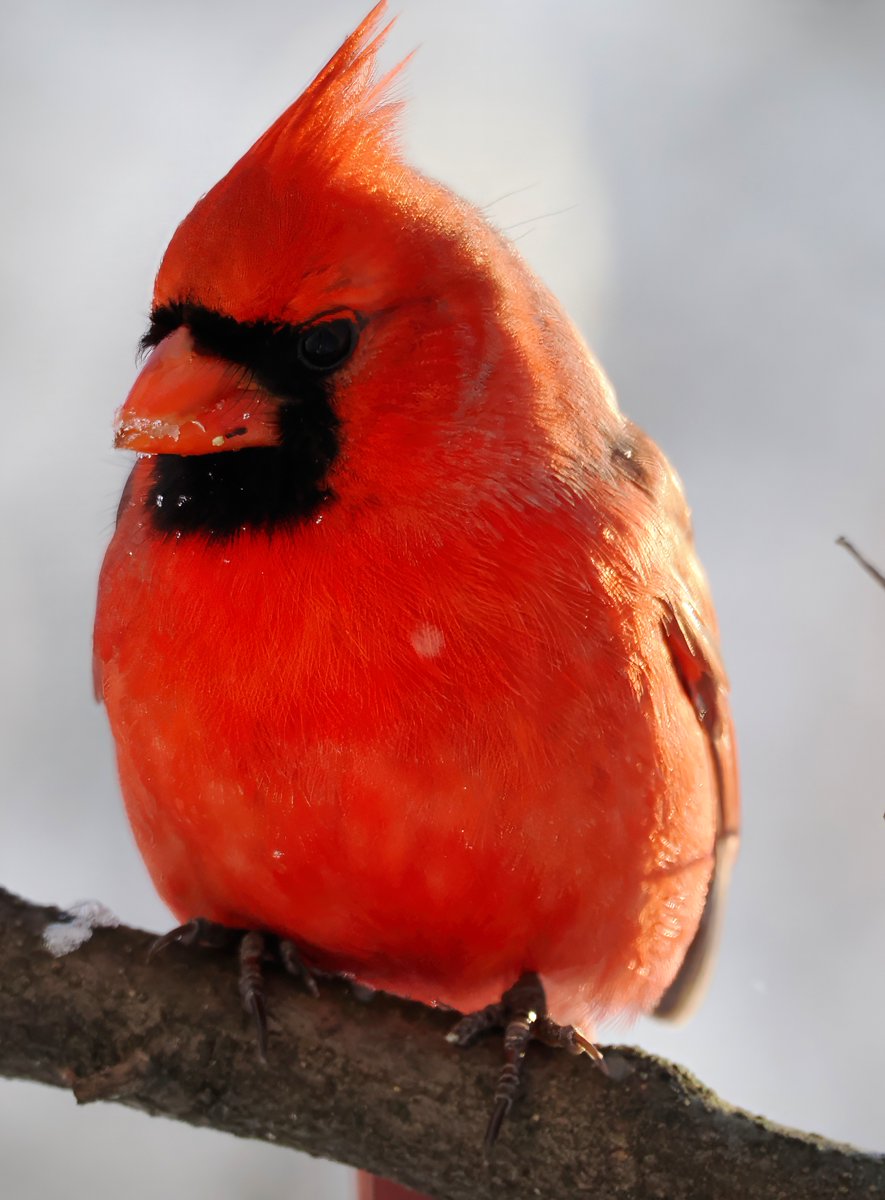 Above_96th tweet media