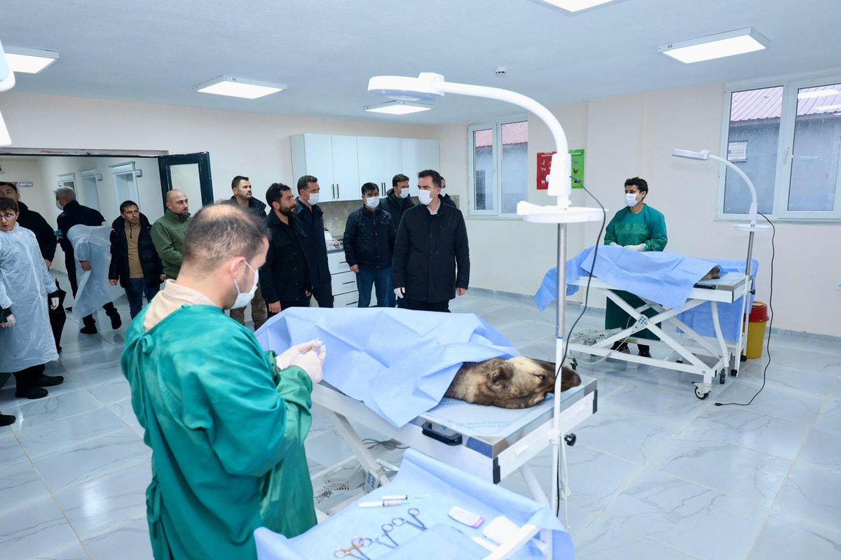 Bitlis Valiliği tweet media