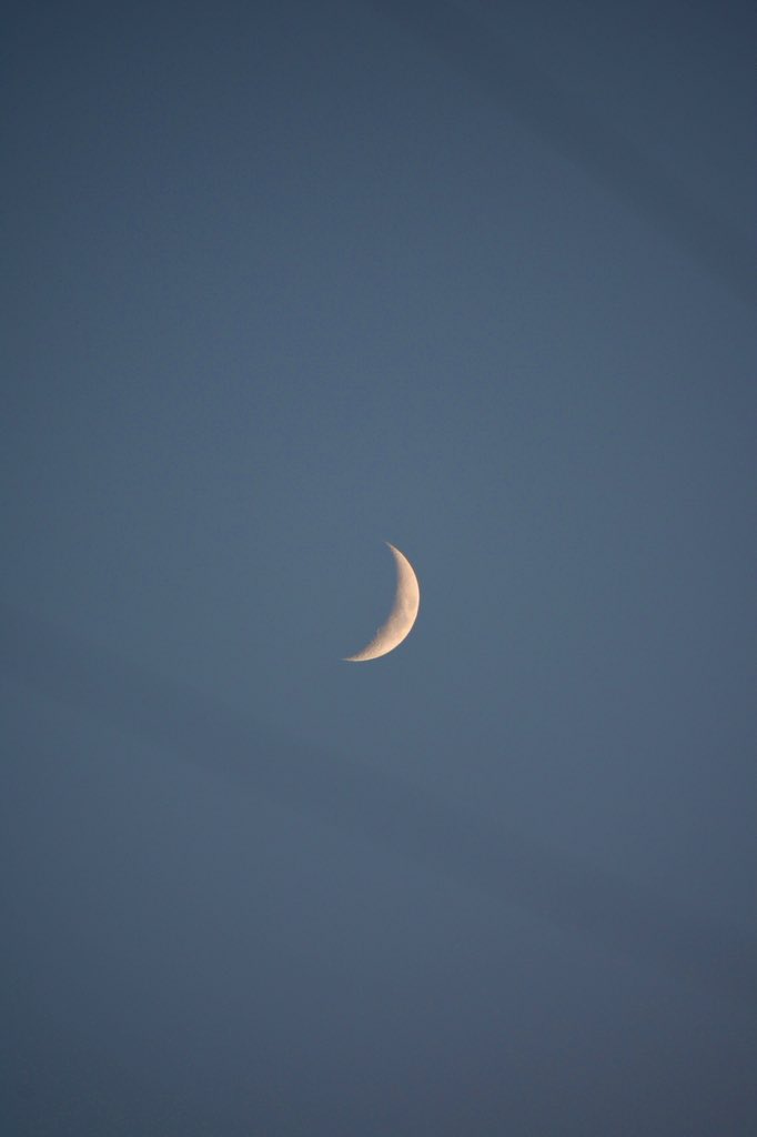 f40_photo tweet media