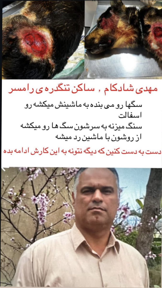 کامکوآت tweet media