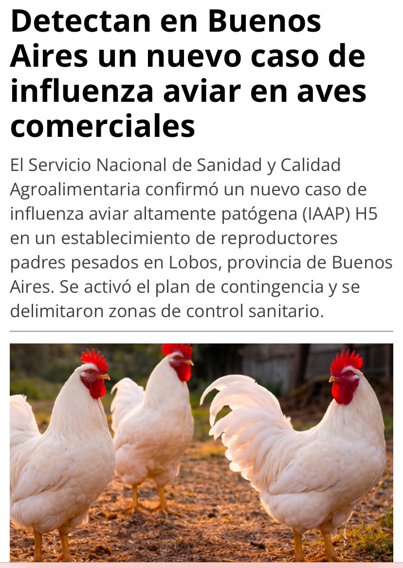 vetmarketportal.com.ar/nota/4913/dete…