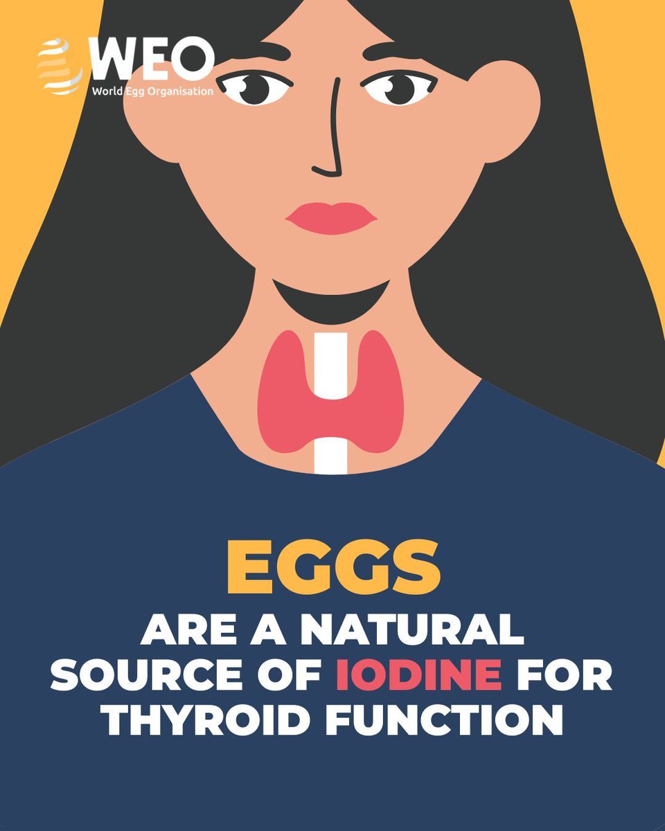 World Egg Organisation tweet media