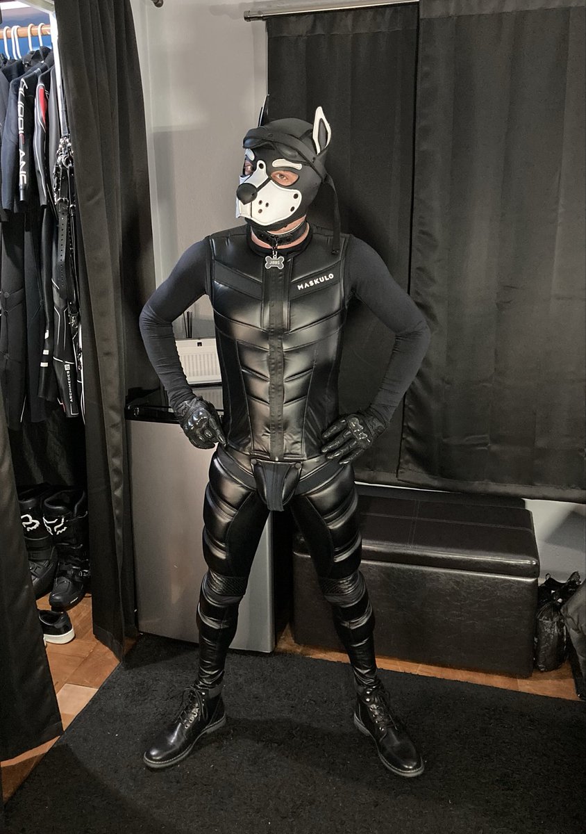 PupJibbs tweet media