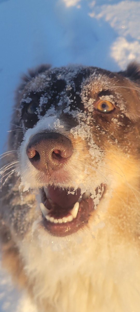 RiverEdge Superintendent tweet media