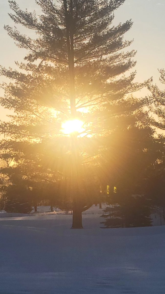 RiverEdge Superintendent tweet media