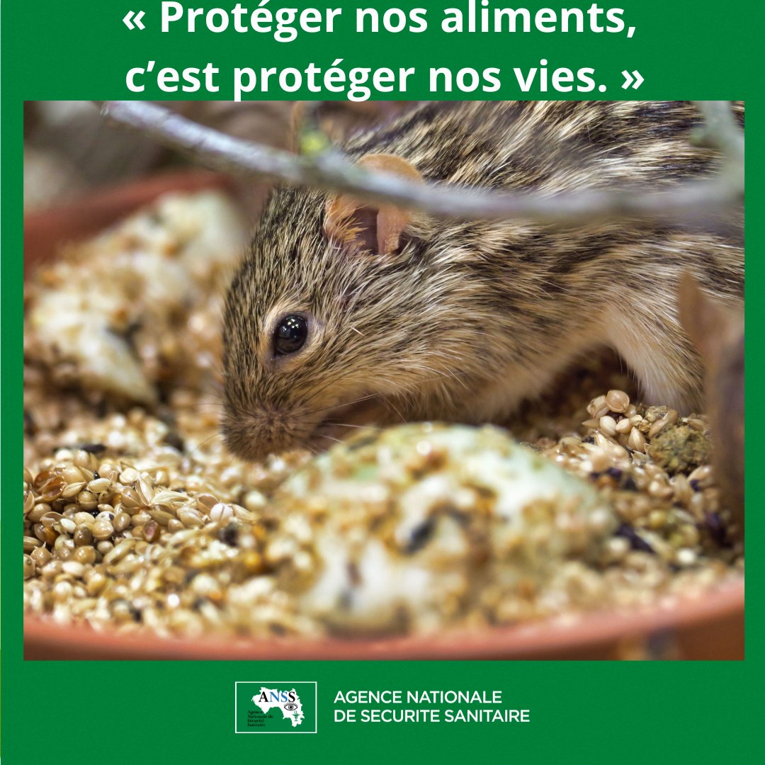 Agence Nationale de Sécurité Sanitaire tweet media