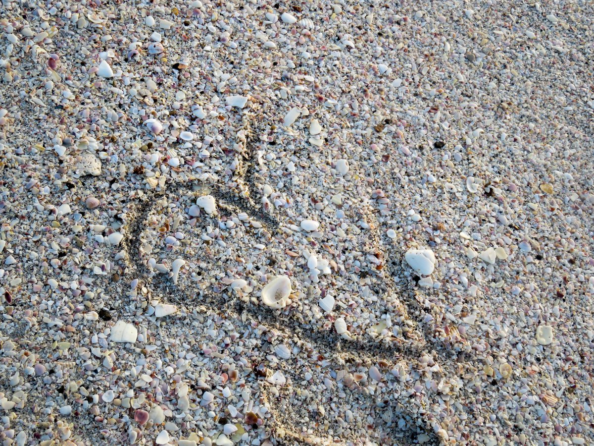 universalangel's tweet photo. Sometimes Love is understated - barely noticeable in the hustle and bustle of every day life. If you don't see it around you, perhaps a sign You need to BE it! May you day be filled with 💖
https://t.co/L5EhscfKTl https://t.co/I0Oq6lDyJK