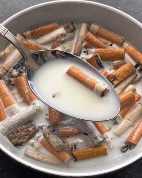 Hala 🕊️ tweet media