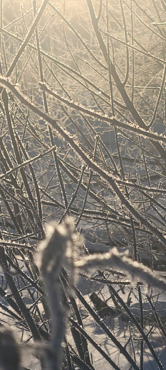 RiverEdge Superintendent tweet media