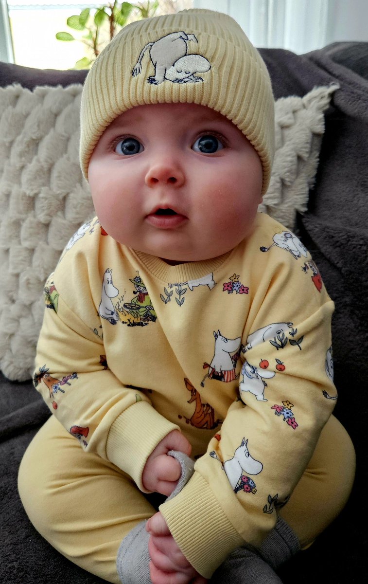 Daniel Andersson tweet media