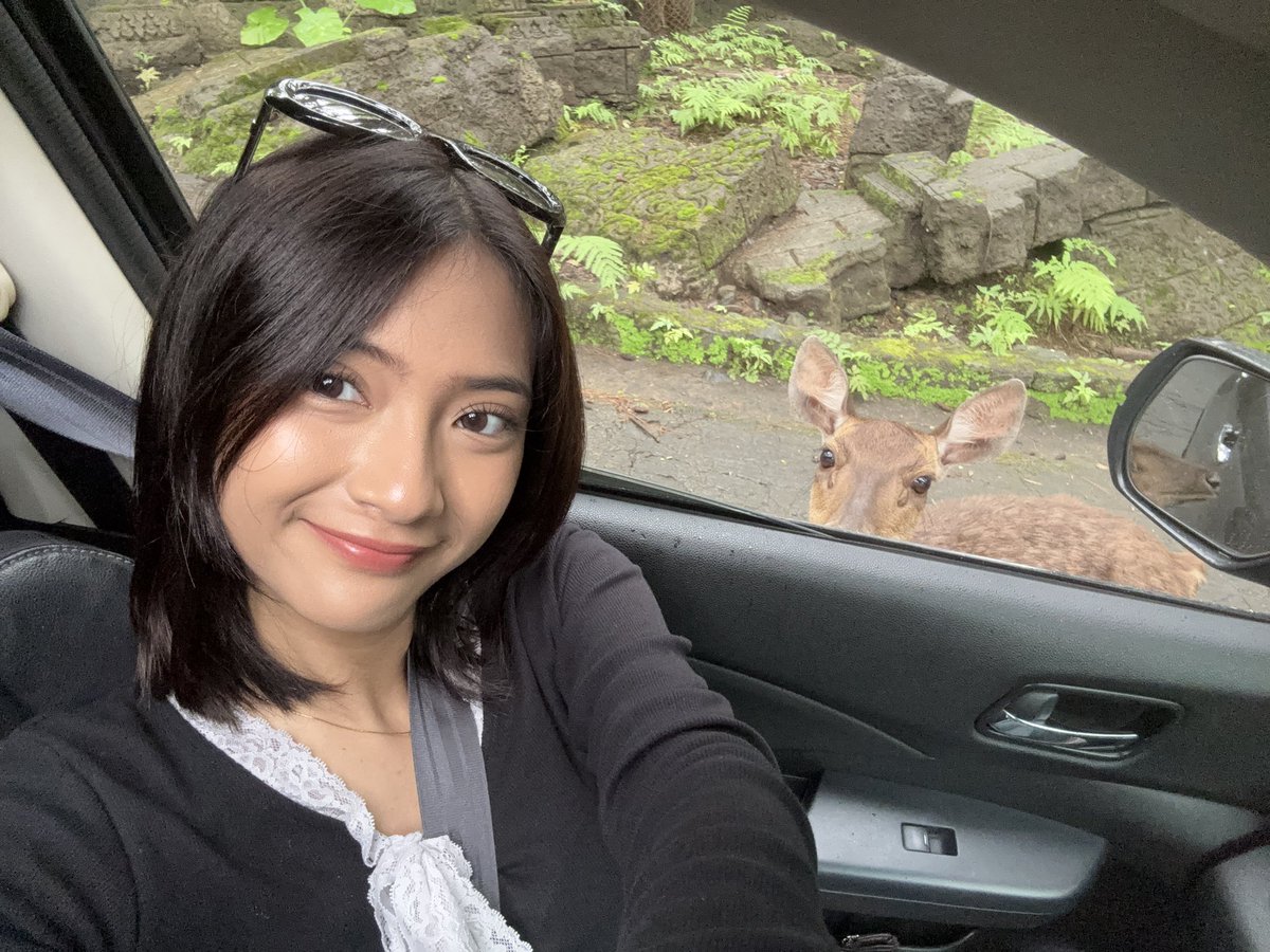 Jinan Safa tweet media