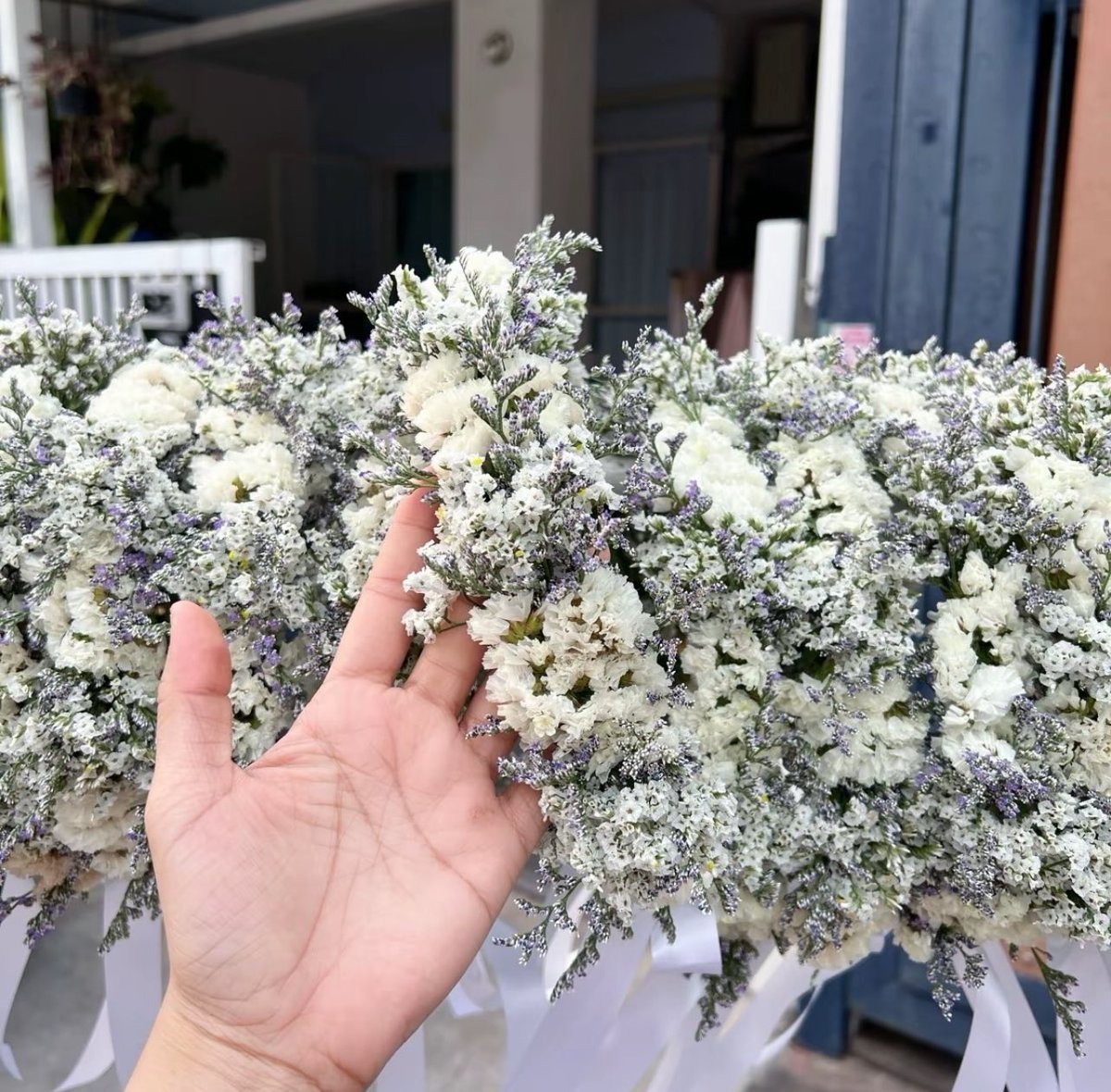 fa_atrp's tweet photo. สายซัพพอร์ตมาทางนี้จ้า  👇🏻🌹
มงกุฎปัจฉิม : https://t.co/OkmZnPp3Ew
ช่อกุหลาบกลิตเตอร์ : https://t.co/dcL3FWbUPC https://t.co/Nfndjx7GXI