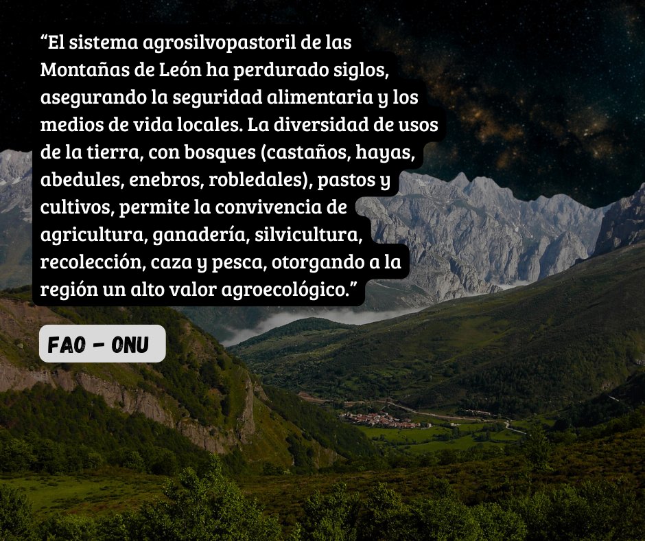 Alejandro DG tweet media