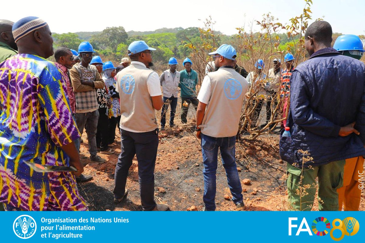 FAO Guinée tweet media