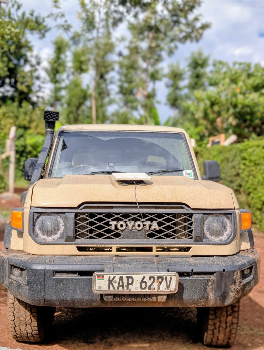 Joan Reals tweet media