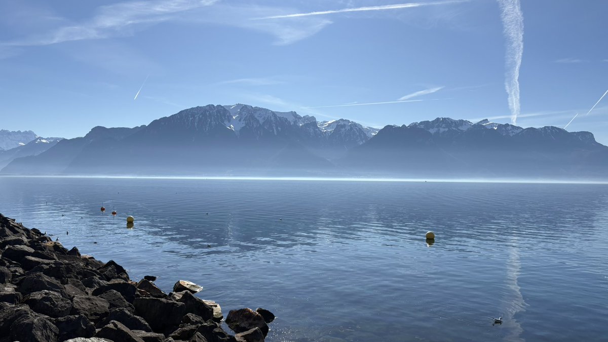 Nous sachons… 😏

#chemtrails 🛩️💨💨💨 