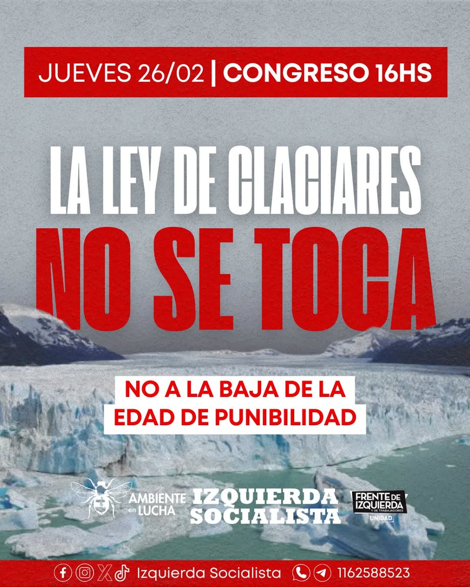 Mercedes Trimarchi tweet media