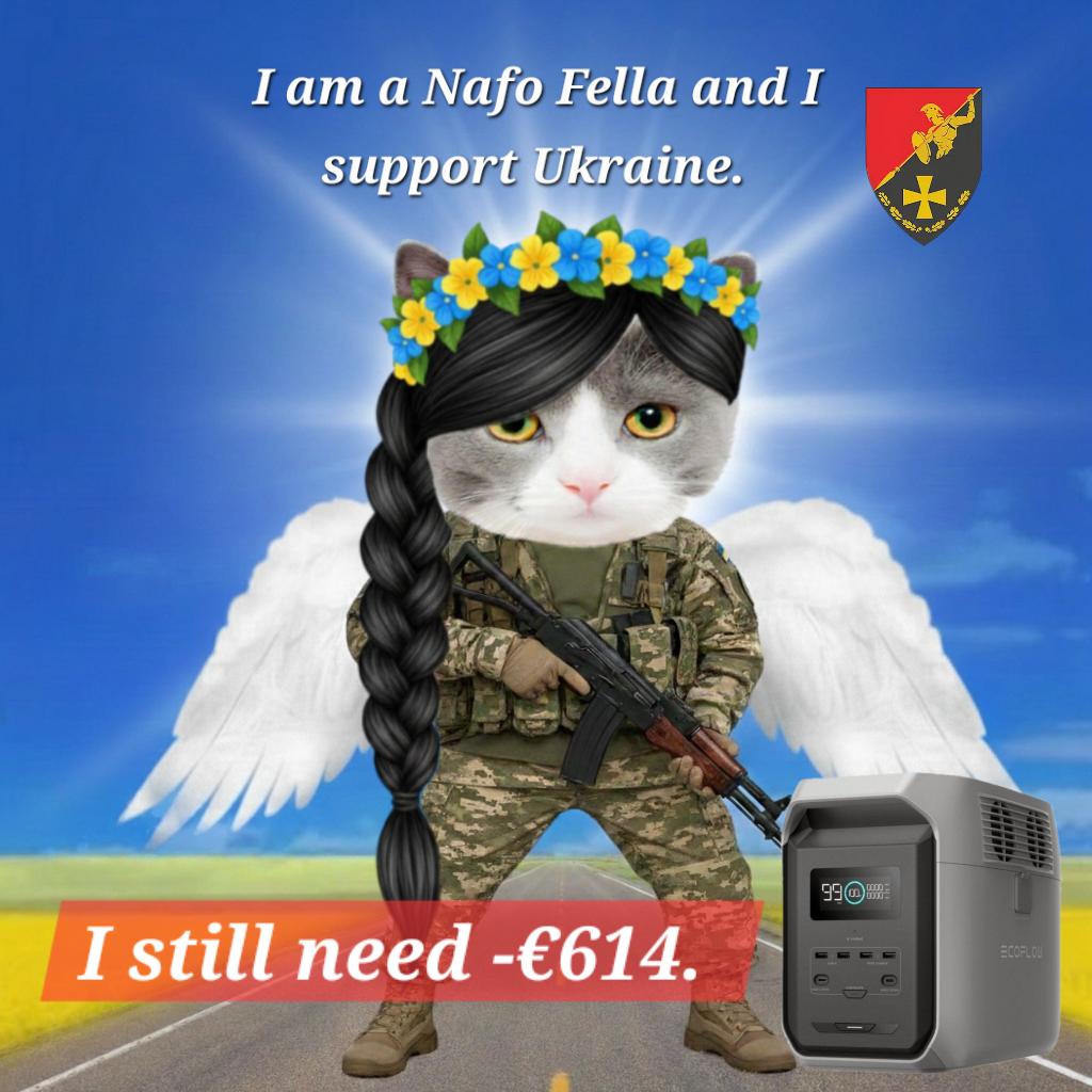💙💛🌻Reni1977🇩🇪kämpft für die 🇺🇦✊️ tweet media