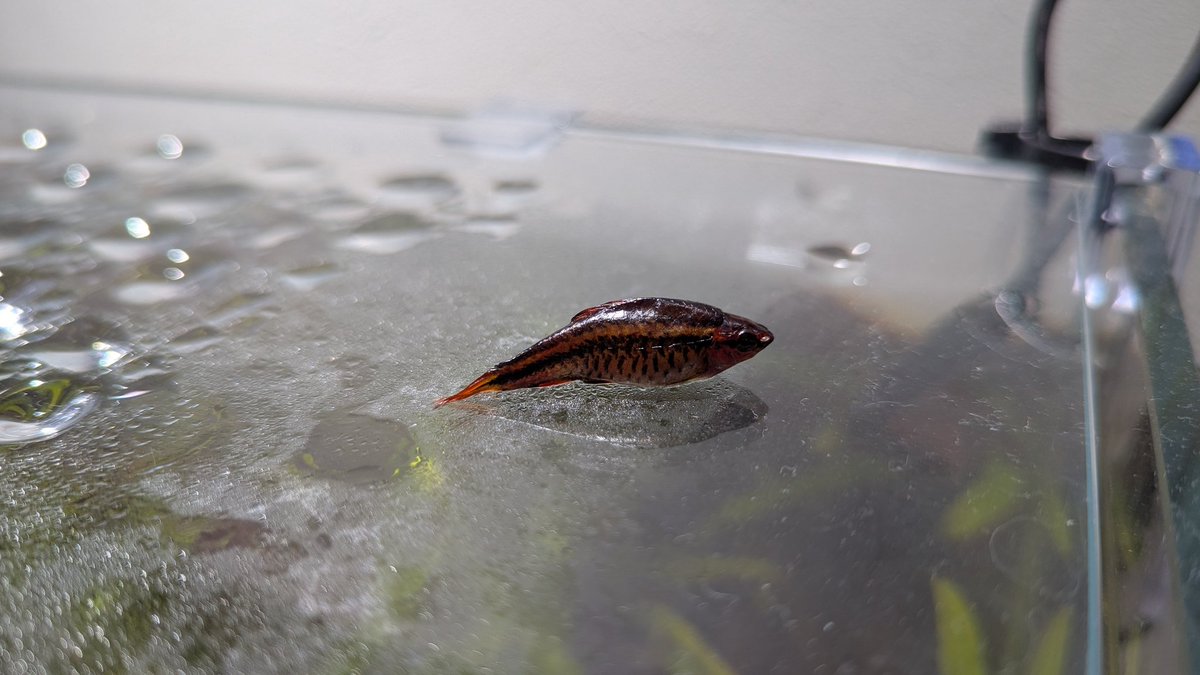 マルヲ tweet media